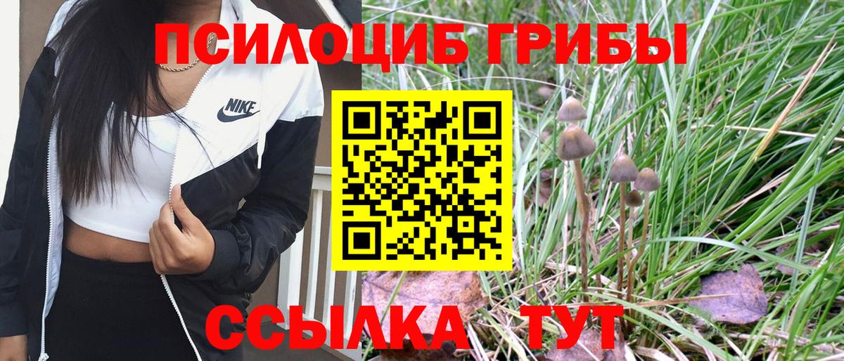 Светлоград  Псилоцибиновые грибы MAGIC MUSHROOMS  Вход с VPN 